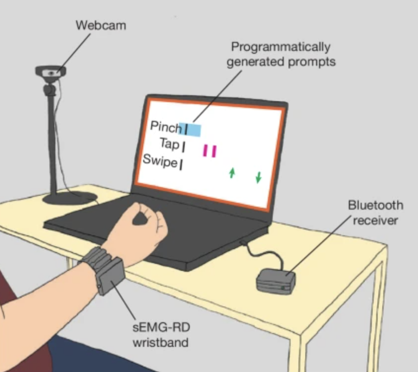 Meta Reframes Their Reality